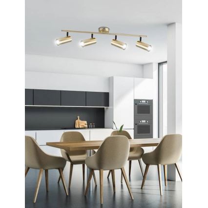 Foco COLLY 4xGU10/15W/230V dourada