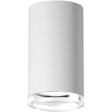 Foco de casa de banho TURYN 1xGU10/10W/230V IP44 branco