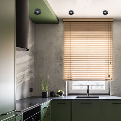 Foco de encastrar BALI 1xGU5,3/MR16/25W/12V redondo preto