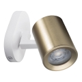 Foco de parede LAURIN 1xGU10/10W/230V latão/branco