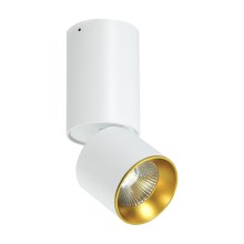 Foco de teto LED LED/10W/230V