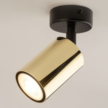 Foco direcional ZOOM 1xGU10/10W/230V dourado/preto