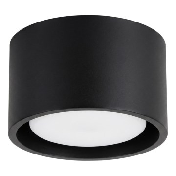 Foco direcionável MODO 1xGX53/10W/230V preto