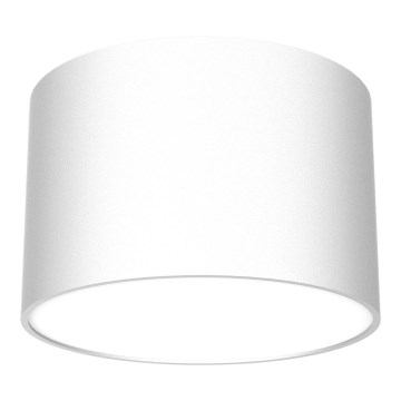 Foco DIXIE 1xGX53/11W/230V branco