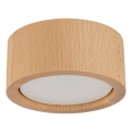 Foco EVE 1xGX53/11W/230V faia