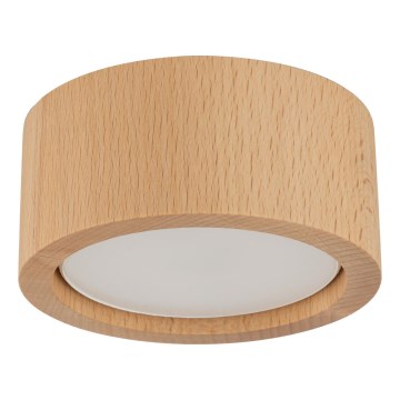 Foco EVE 1xGX53/11W/230V faia