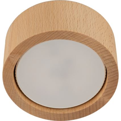 Foco EVE 1xGX53/11W/230V faia