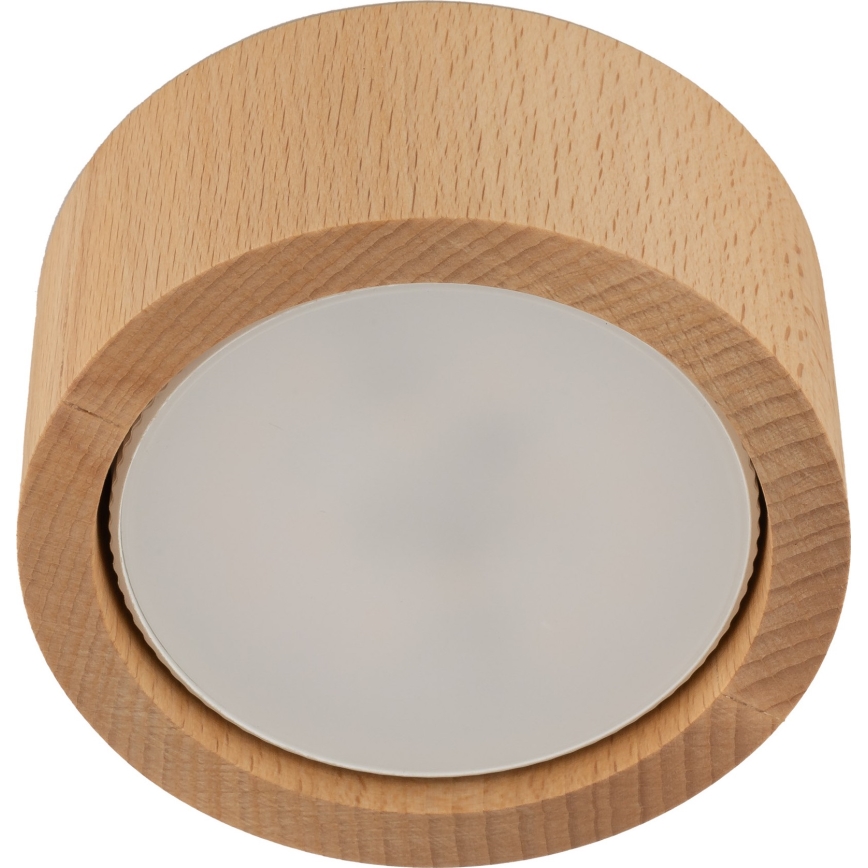 Foco EVE 1xGX53/11W/230V faia