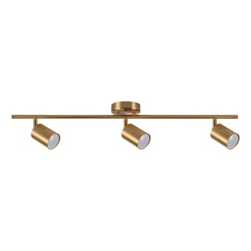Foco GOLDIE 3xGU10/10W/230V dourado