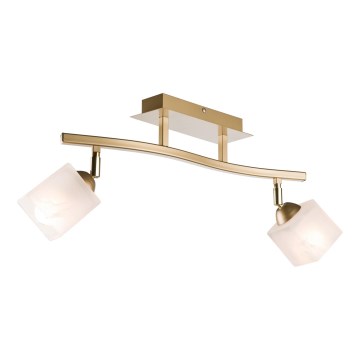 Foco KLARA 2xE14/40W/230V dourado