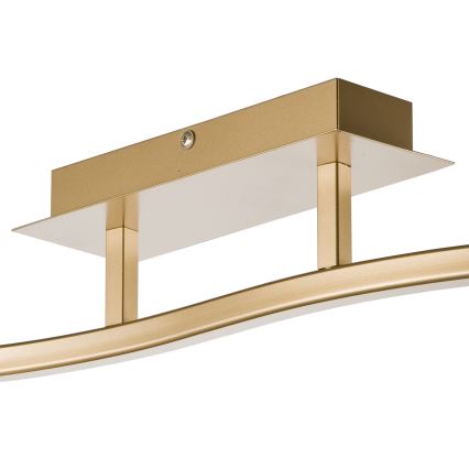 Foco KLARA 2xE14/40W/230V dourado