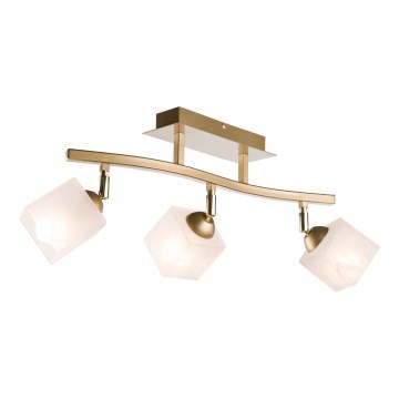 Foco KLARA 3xE14/40W/230V dourado