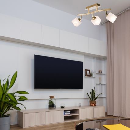 Foco KLARA 3xE14/40W/230V dourado