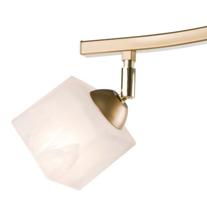 Foco KLARA 3xE14/40W/230V dourado