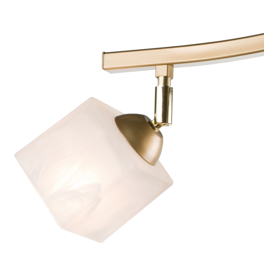 Foco KLARA 3xE14/40W/230V dourado