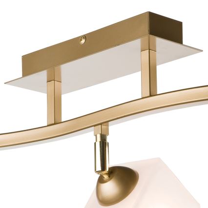 Foco KLARA 3xE14/40W/230V dourado