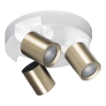 Foco LAURIN 3xGU10/10W/230V latão/branco
