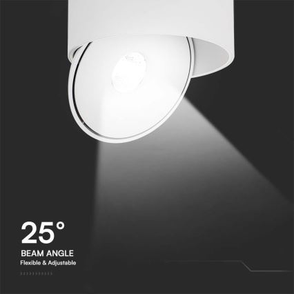 LED Flexível foco LED/20W/230V 3000/4000/6400K CRI 90 branco