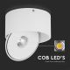 LED Flexível foco LED/20W/230V 3000/4000/6400K CRI 90 branco