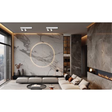 Foco LED MAGNET LED/5W/230V + 2xGU10/60W 3000/4000K branco