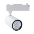 Foco LED para sistema de carril TRACK LIGHT LED/12W/230V 3000K branco