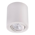 Foco LED TUBA 1xGU10/5W/230V 2700K branco