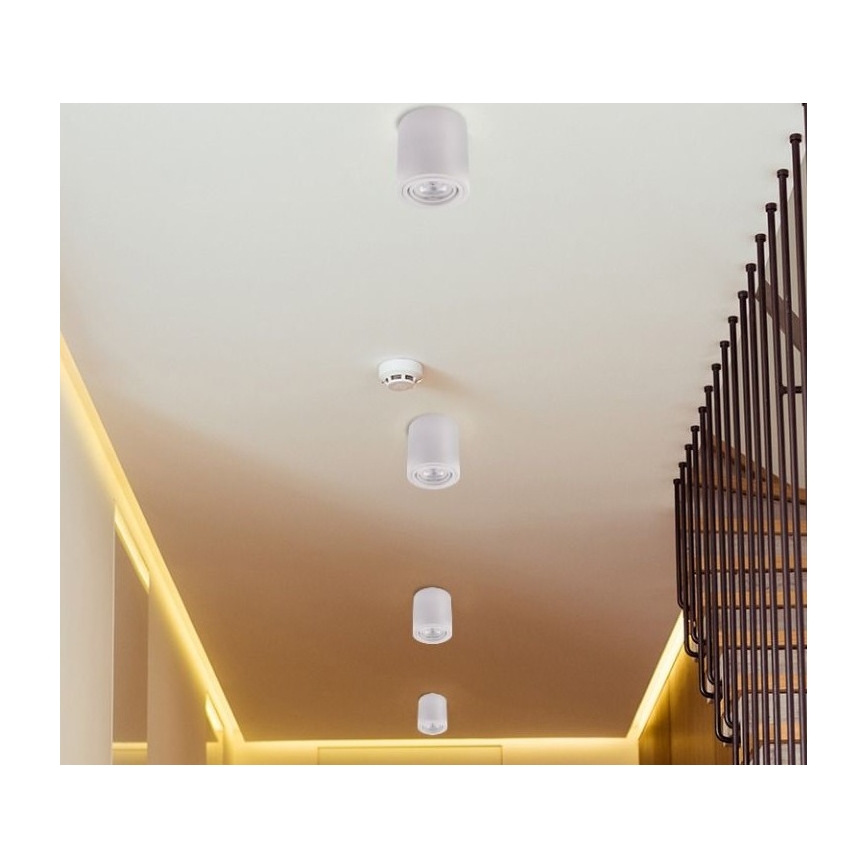 Foco LED TUBA 1xGU10/5W/230V 4000K branco