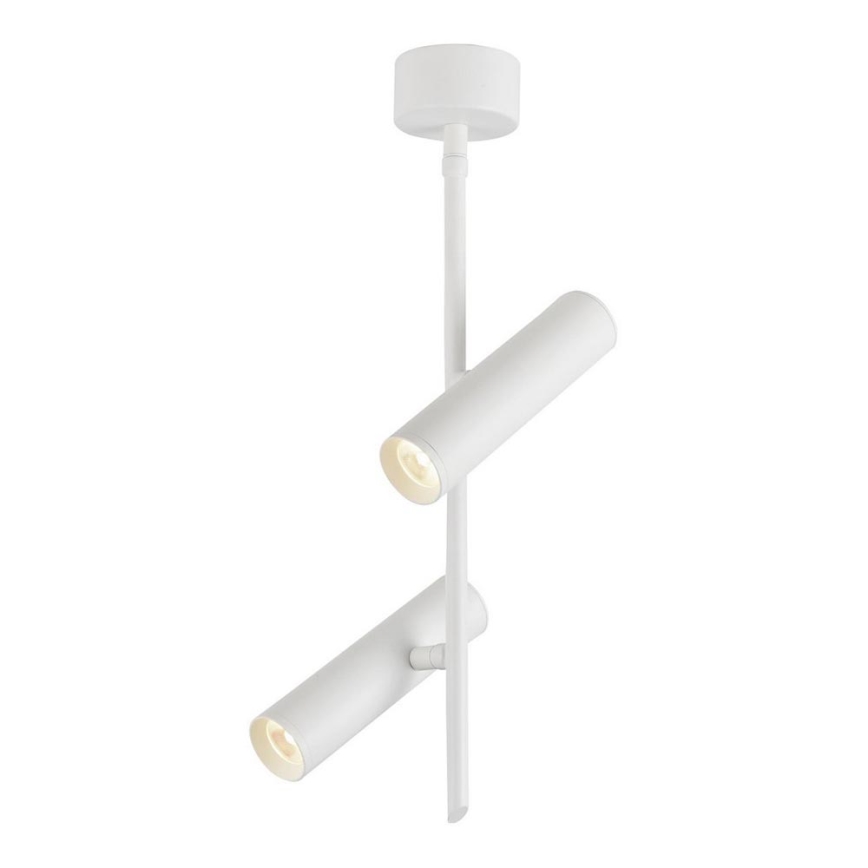 Foco LED TUBA 2xLED/10W/230V branco