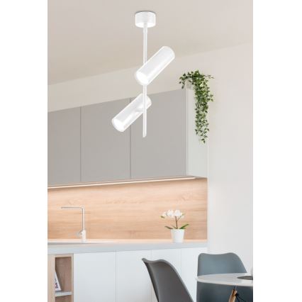 Foco LED TUBA 2xLED/10W/230V branco