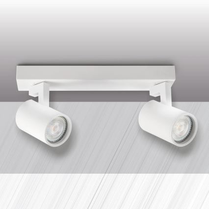 Foco LYNX 2xGU10/10W/230V branco