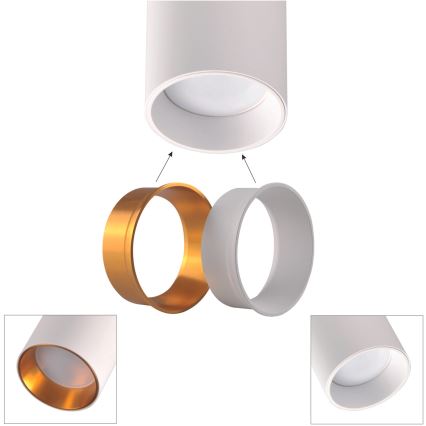 Foco para sistema de carril MARIBEL 1xGU10/10W/230V branco