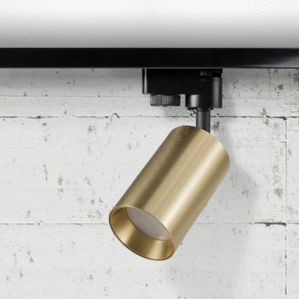 Foco para sistema de carril MARIBEL 1xGU10/10W/230V dourado