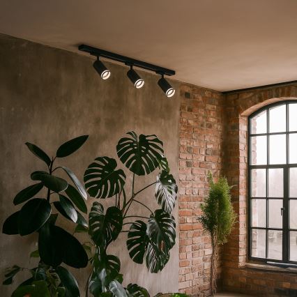 Foco para sistema de trilhos PIPE 3xGU10/10W/230V preto