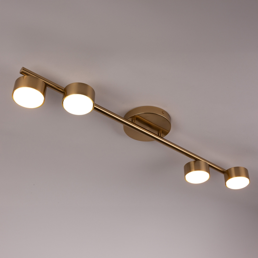 Foco PUNTO 4xGX53/12W/230V dourado