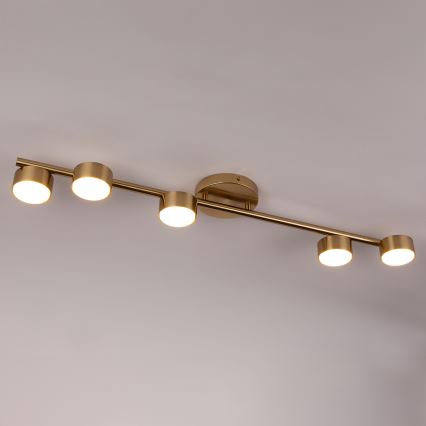 Foco PUNTO 5xGX53/12W/230V dourado