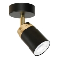 Foco RENO 1xGU10/60W/230V preto/dourado