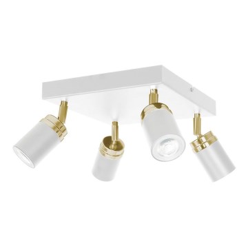 Foco RENO 4xGU10/8W/230V branco/dourada