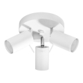 Foco RING 3xGU10/10W/230V branco