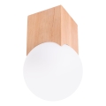 Foco SOLIS 1xG9/8W/230V faia