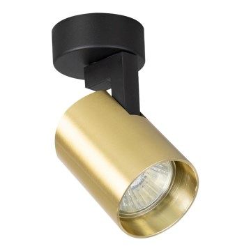 Foco VOLF 1xGU10/10W/230V dourado/preto