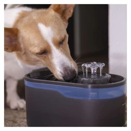 Fonte de água para animais 2,6 l/5V cinzento