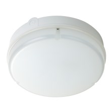 Fulgur 28842 - Iluminação de teto exterior LED JANA LED/18W/230V IP65