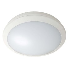 Fulgur 28844 - Iluminação de teto exterior LED ZUZA LED/18W/230V IP66