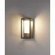 Gardino LX6051 - Iluminação de parede solar LED DANTELION LED/2,2W/3,7V IP54