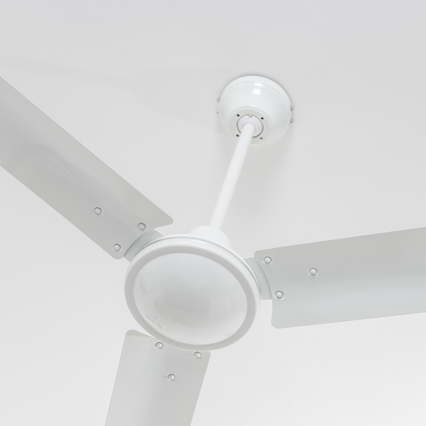 Globo - Ventilador de teto