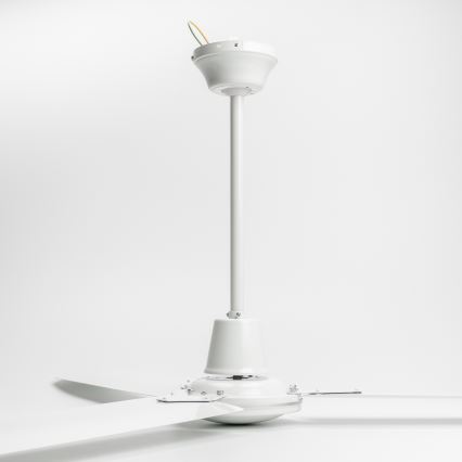 Globo - Ventilador de teto