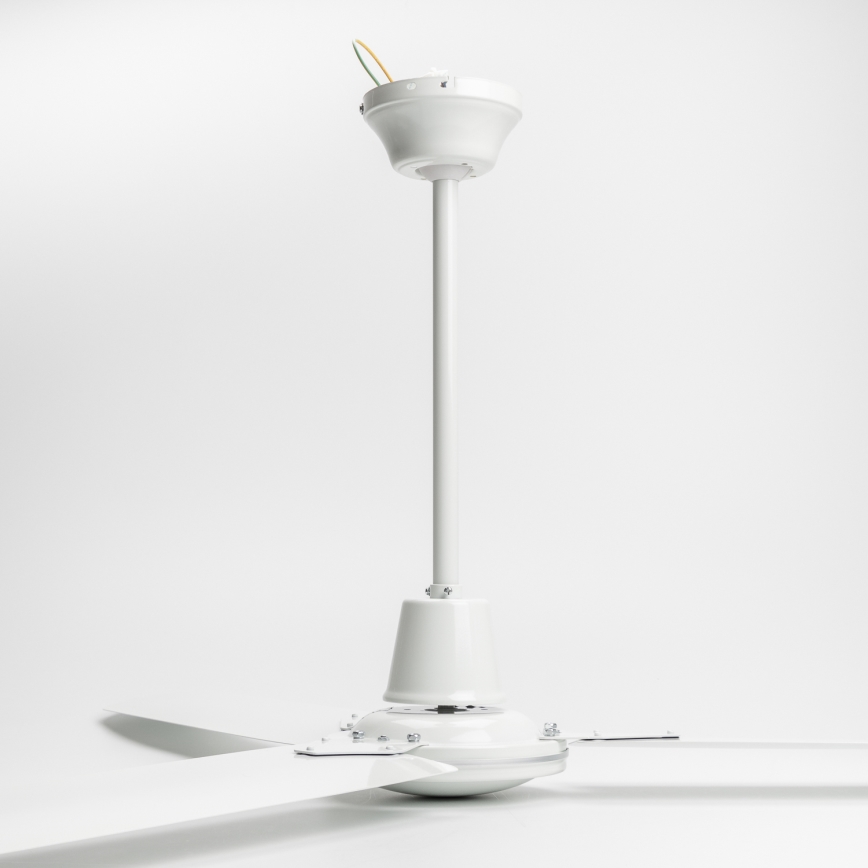 Globo - Ventilador de teto