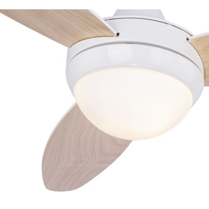 Globo 03612 - Ventoinha de teto CORDULA 2xE14/40W/230V + controle