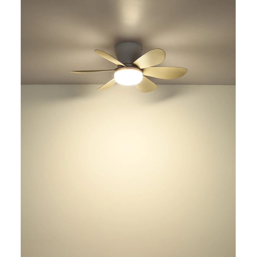Globo - Ventilador de tecto LED com dimmer LED/5W/230V 2700-6500K bege + comando remoto