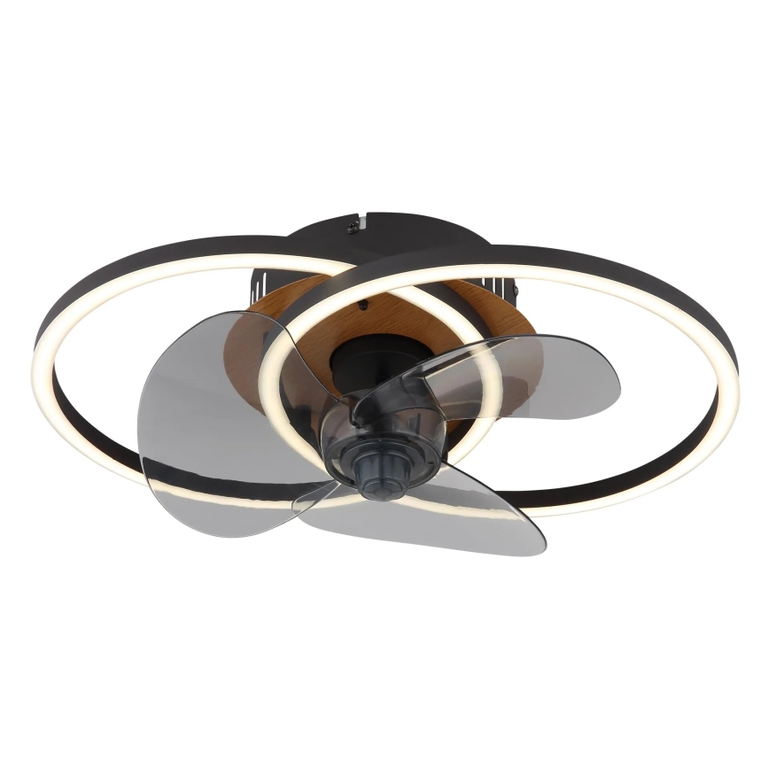 Globo - Ventilador de teto LED regulável LED/24W/230V 2700-6500K + controlo remoto